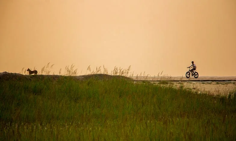 Novčanik mog muža, moj zatvor: Borba za slobodu u zaleđenom braku