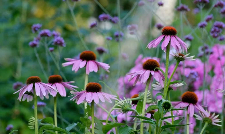 On je moj otac i bit će na mom vjenčanju, sviđalo se to tebi ili ne: Priča o ljubavi, izdaji i oprostu