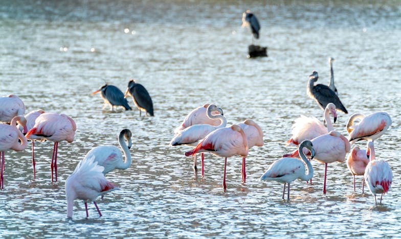 Prodala sam dom za sina – i izgubila sve