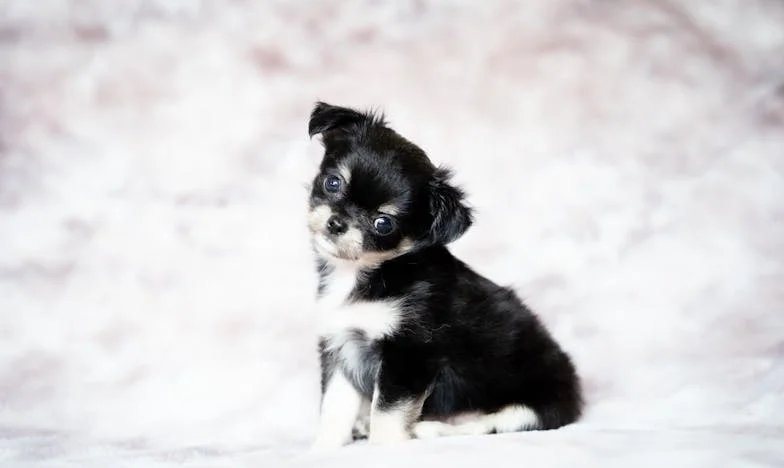 Profil koji je promijenio sve: Kako mi je šala unuke otvorila srce