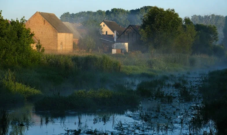 Ribe, laži i tišina: Ispovijest jedne žene iz Osijeka