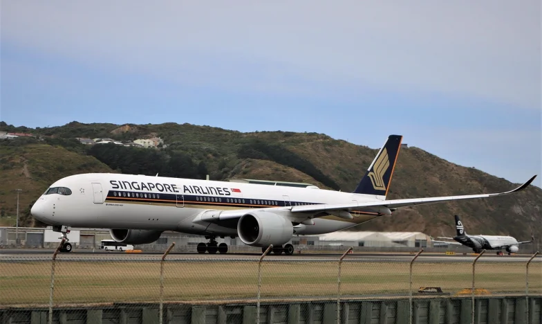 Suze na asfaltu: Priča o izgubljenoj sreći