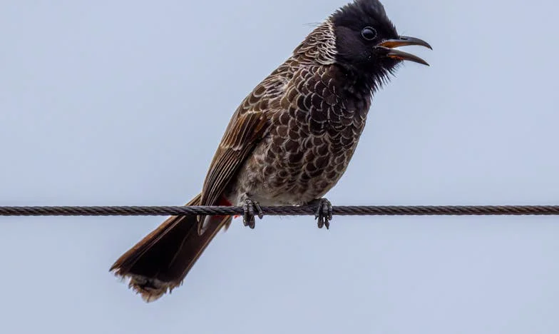 Suze na istom jastuku: Majka i kćerka napuštene u istoj sedmici
