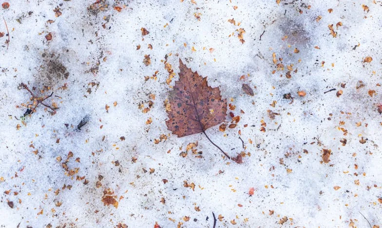Svekrva pred mojim vratima: Imam li pravo na svoj mir?