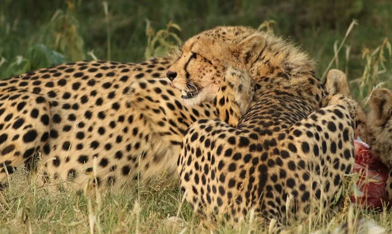 Tuga majke i zagrljaj bivše snaje: Priča o oproštaju i novom početku