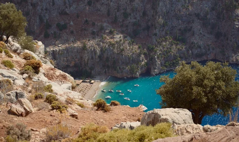 Bez kolijevke, bez pelena: Povratak kući u haos