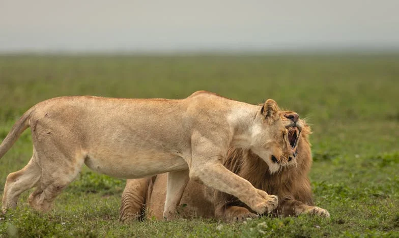 Duga sjena prošlosti: Kako sam napokon odrezala kosu koja me definirala