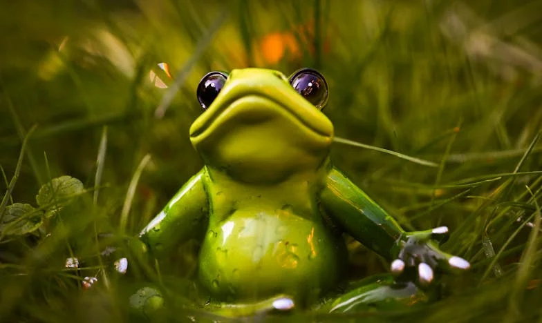 Glasine koje su zamalo uništile moju obitelj: Borba za istinu i sreću