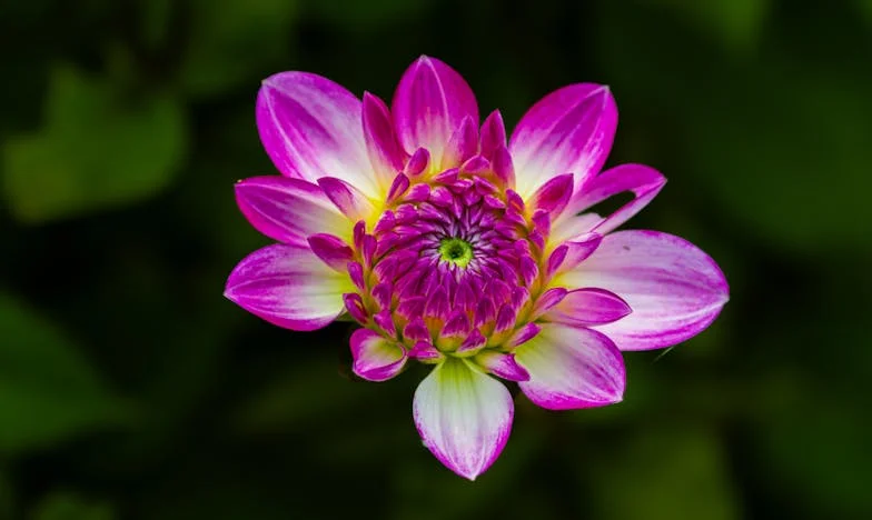 Incident u Novom Stanu: Kad Sam Naučila Reći 'Ne' Vlastitoj Porodici