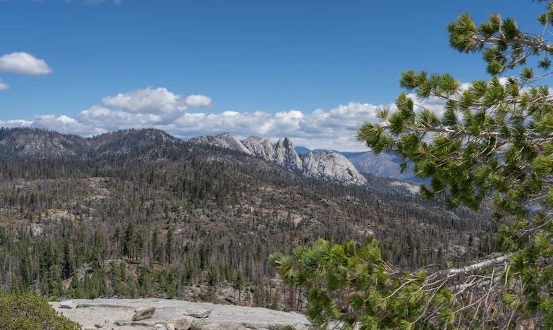 Izbaci me iz svog života! — Kako sam se oslobodila svekrve i napokon prodisala (priča Mirele iz Sarajeva)