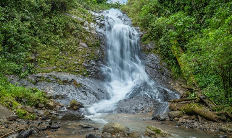 Između Dvoje Vatre: Kad Djeca Ne Prihvaćaju Novu Ljubav