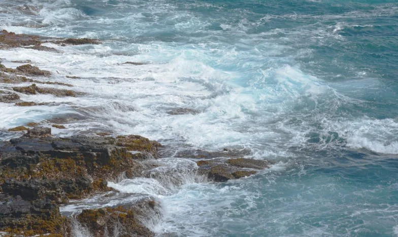 Jutro kad je sve puklo: Baka Ruža i tajna iz dvorišta