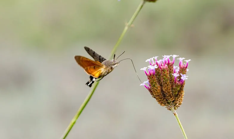 Kad je muž otišao na put, svekrva me izbacila iz kuće: Priča o izdaji i hrabrosti