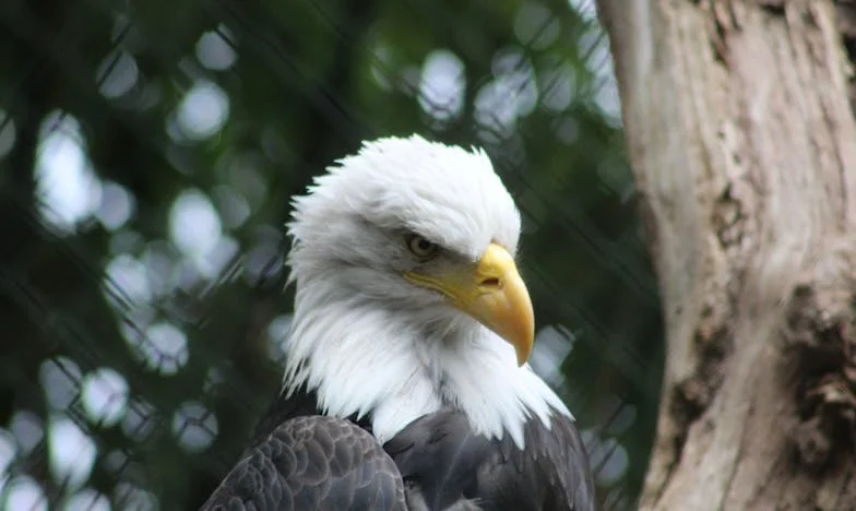 Kad ljubav i novac ne idu ruku pod ruku: Priča o sestrinskoj boli i obiteljskim dugovima