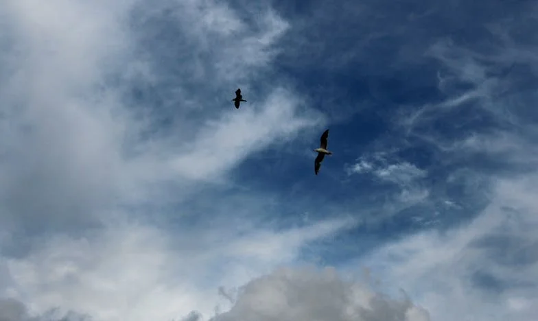 Kad ljubav zaboli: Priča o kćeri, zetu i granicama roditeljske pomoći