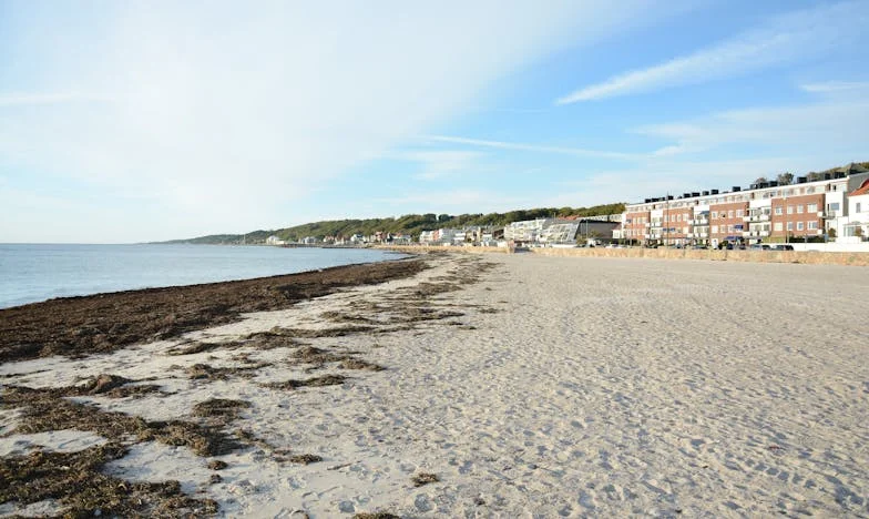 Kad se dom pretvori u tuđinu: Ispovijest jedne majke iz Bosne