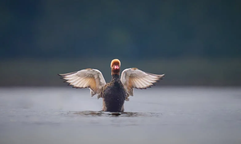 Kad ti kćerka postane strankinja: Noć kad sam izgubila povjerenje