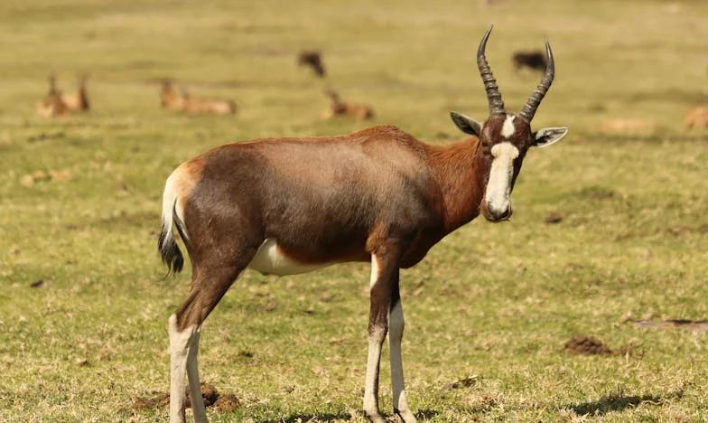 Kada je Ivan dao naše zadnje kune bez mog znanja: Posljednja kap u braku s čovjekom kojeg sam voljela