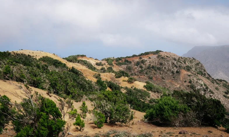Kuća na raskršću: Bitka za naslijeđe