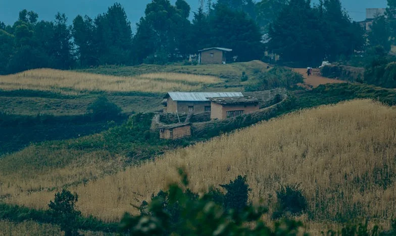 Majčina sjena: Kako sam izgubila unuka zbog tuđe kontrole