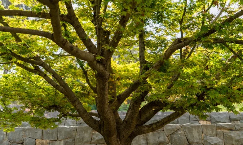 Mama, Ne Mogu Više: Ključevi Na Stolu i Granica Koja Mora Postojati