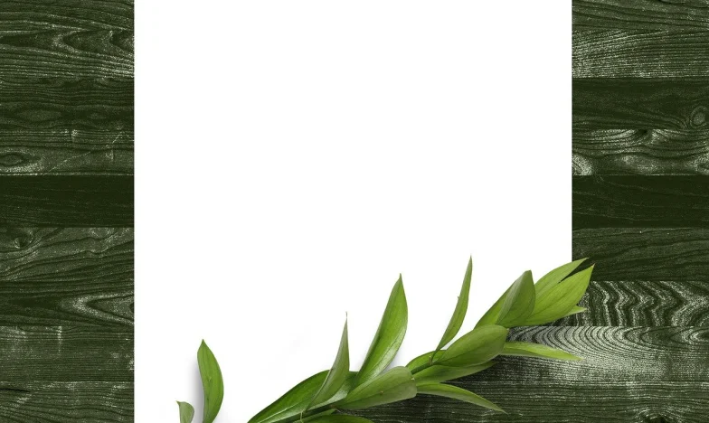 Osam godina tišine: Priča o nevidljivoj žrtvi