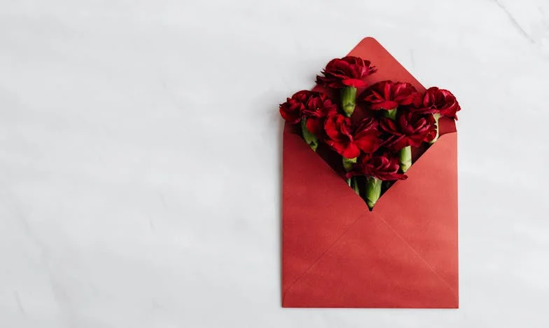 Povratak s pijace: Kad sam zatekla provodadžiku u svom vrtu, odlučila sam joj pokazati gdje joj je mjesto