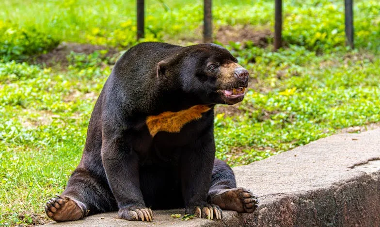 Premlada za majku: Moj život kao tinejdžerska mama u Zagrebu