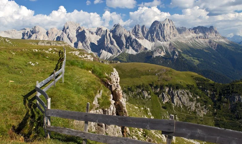 Srce malog Davora: Priča o gubitku, hrabrosti i novom životu