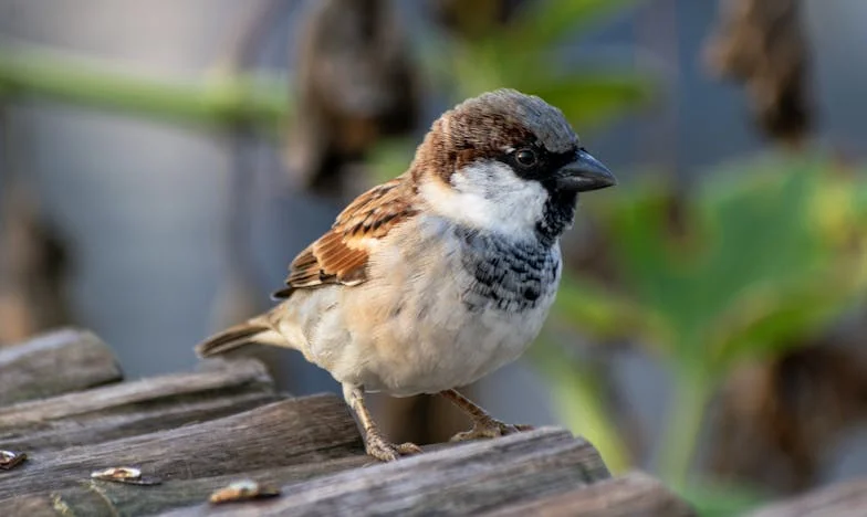 Stan za sina, gorčina za mene: Priča o razvodu, ljubomori i novim počecima