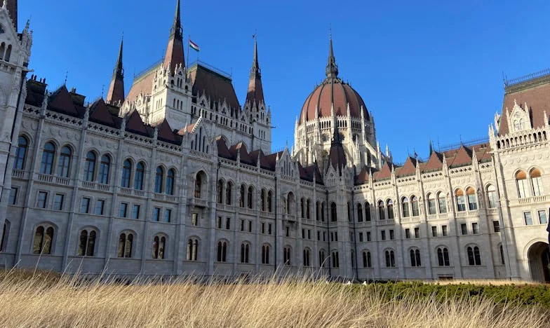 Tajni brak mog sina: Priča o ljubavi, izdaji i oprostu