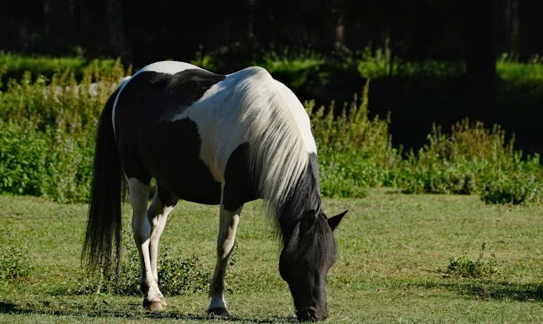 Vjera u tami: Kako sam tražio snagu kad je mama oboljela