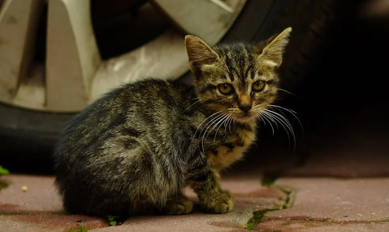 Dan kad sam shvatila tko je zapravo moja svekrva