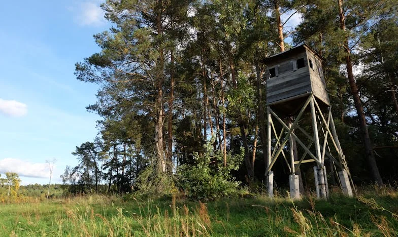 Deset godina tišine: Kad se Dario vratio, moj svijet se ponovno srušio