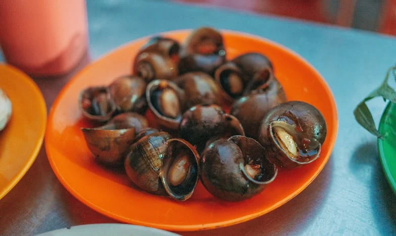 Gdje si, mama? – Priča o raspadu i ponovnom rađanju jedne obitelji