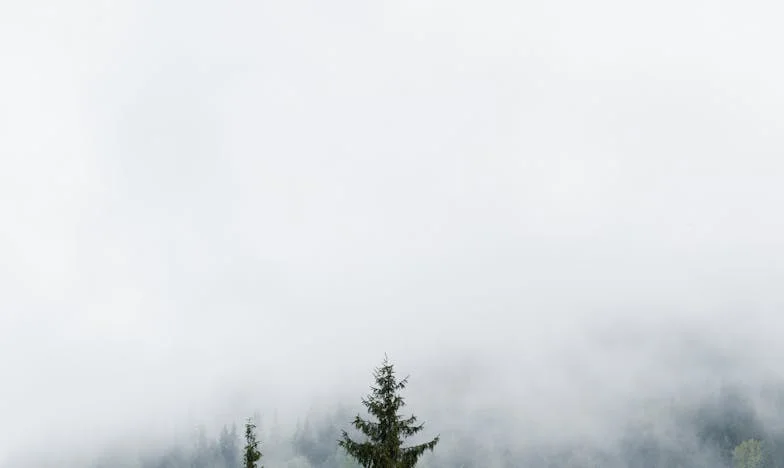 Izbacila sam sina i snahu iz stana: Tek tada sam shvatila koliko sam godina živjela u krivnji