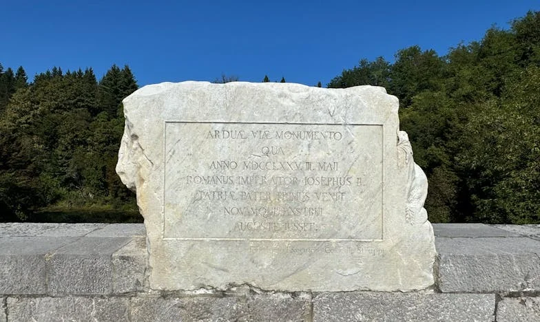 Između Dviju Ljubavi: Priča o Snahi, Svekrvi i Izgubljenoj Obitelji