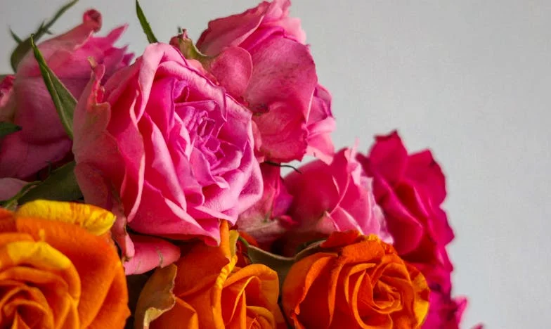 Između sina i istine: Priča o izboru srca