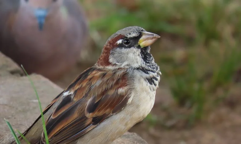 Je li stvarno bolje biti daleko od obitelji? Moja priča o udaljenosti koja je sve promijenila
