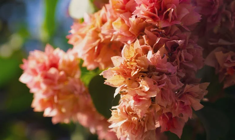 Kad ljubav pukne: Priča o Ani, razvodu i novom početku