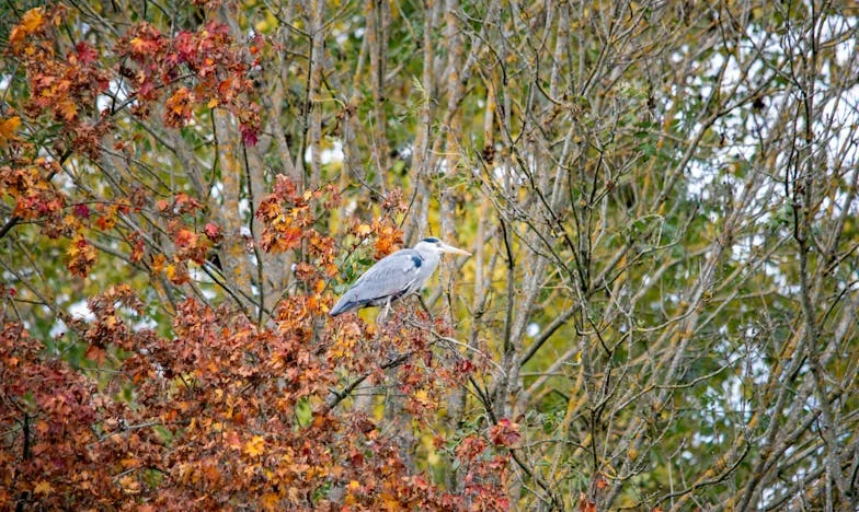 Kad obitelj postane teret: Priča iz srca bosanske avlije