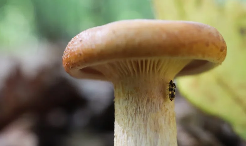 Kad sam ostao sam na moru: Priča o ocu koji je zaboravio što znači obitelj