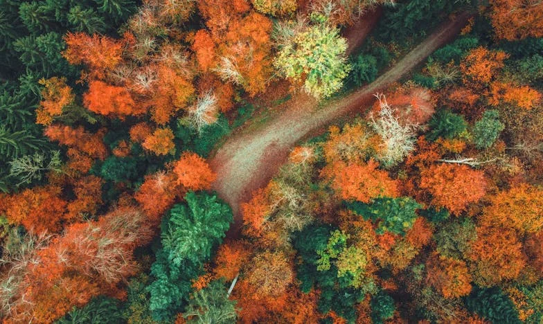 Kad su kumovi postali neprijatelji: Priča o jednoj svadbi i dvije obitelji