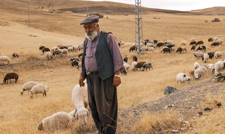 Kad ti najbliži okrenu leđa: Priča o izdaji, oprostu i novom početku