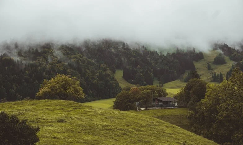Ključevi tišine: Kako sam izgubila dom u vlastitom stanu