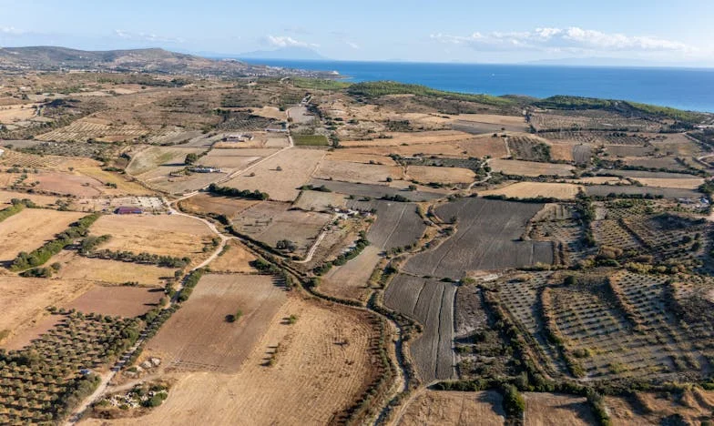 Kuća na raskršću: Između ljubavi i nasljedstva