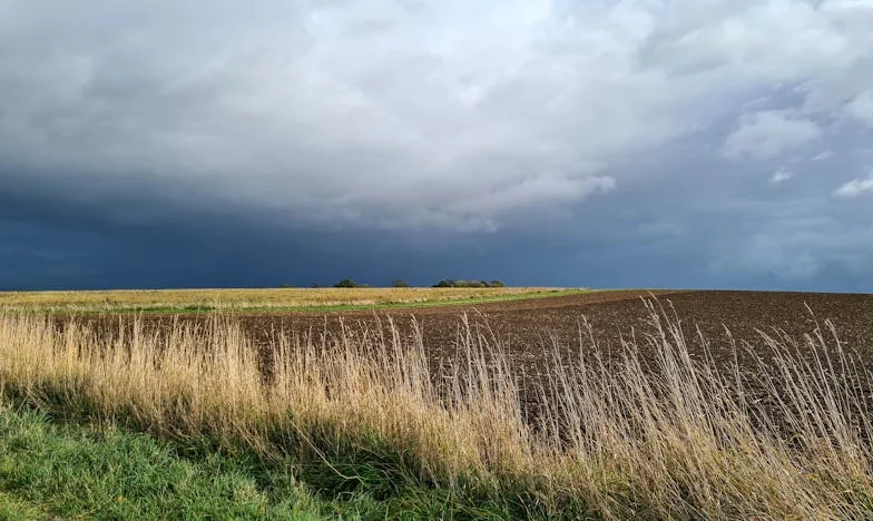 Majčina posljednja želja: Priča o obećanju koje mijenja život