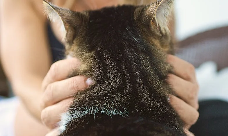 Miris svježeg kruha i gorčina neizgovorenih riječi: Priča o Ani i Davoru