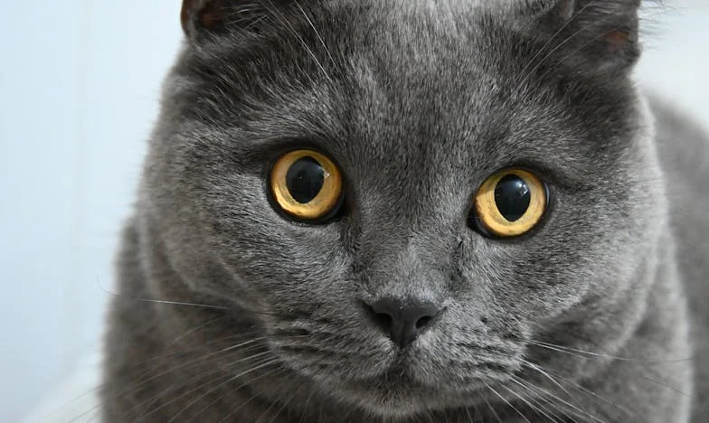 „Nema ovdje mjesta za tebe, mama” – Priča o ljubavi, razočaranju i potrazi za vlastitim mjestom