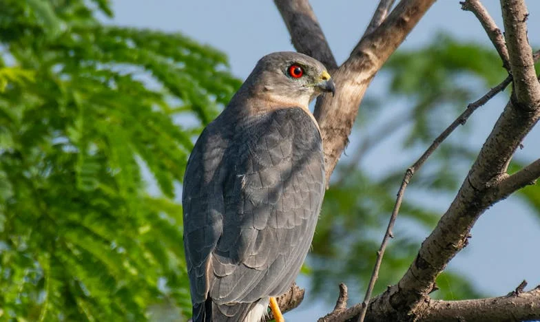 “Nemaš pravo zadržati prezime mog sina nakon razvoda!” – Vrisnula je moja svekrva